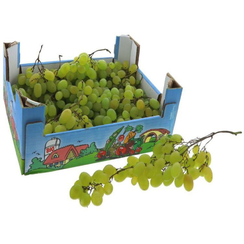 BIO RAISIN BLANC VITTORIA 6KG